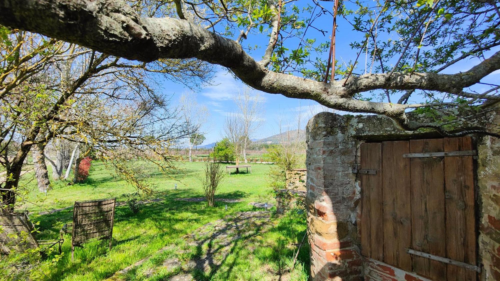 Casale Alcinoo - Rustico Villa Tuoro sul Trasimeno Exterior photo