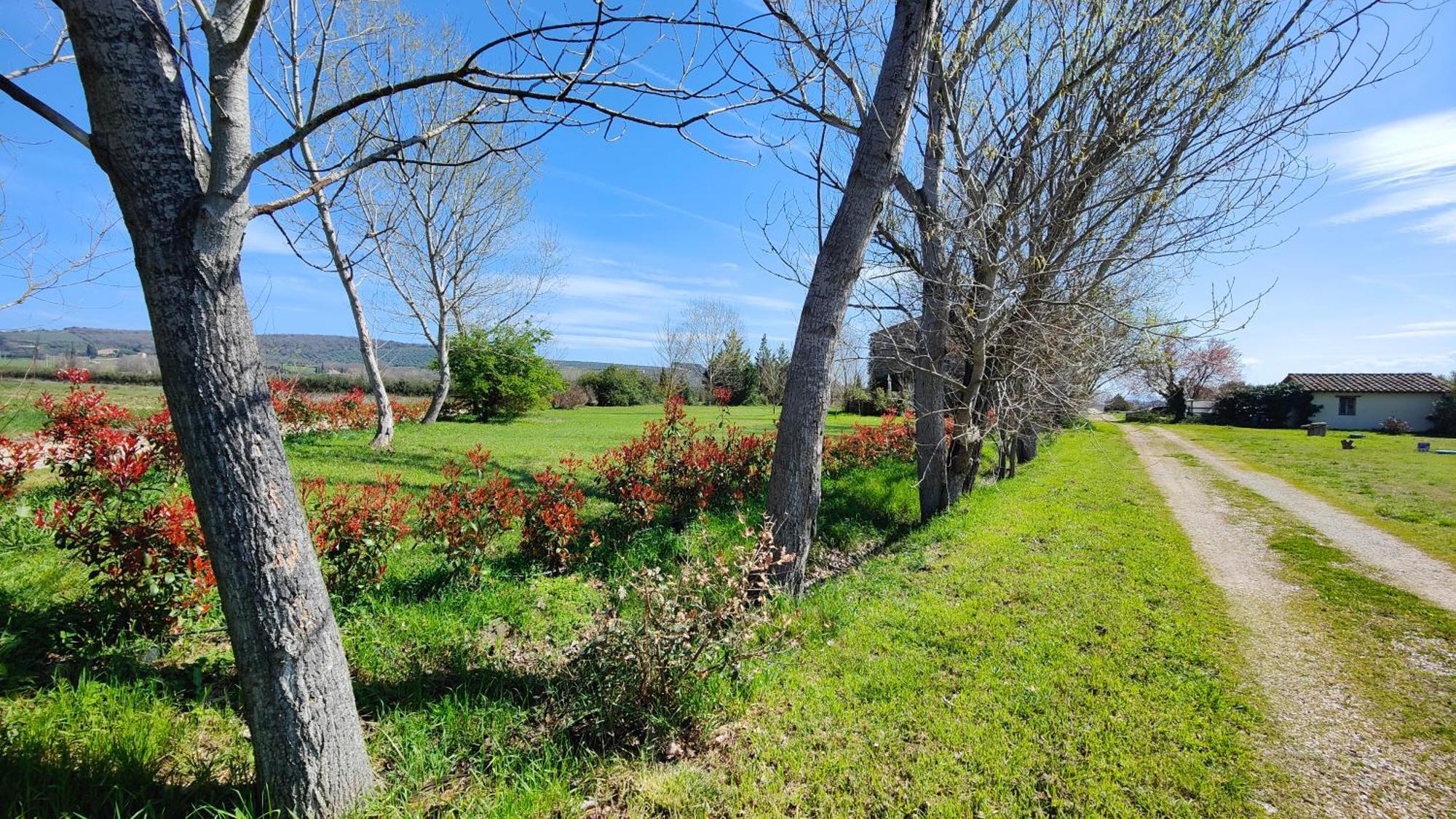 Casale Alcinoo - Rustico Villa Tuoro sul Trasimeno Exterior photo